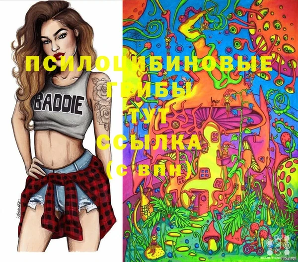 кокаин VHQ Каменногорск