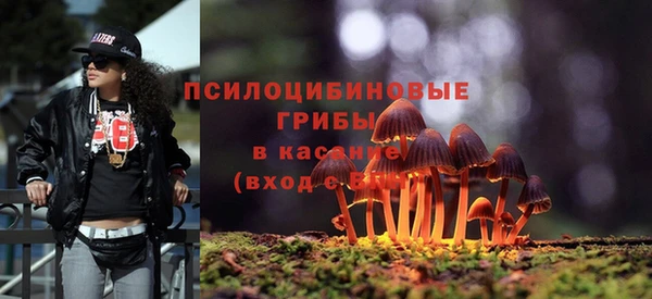 PSILOCYBIN Карталы